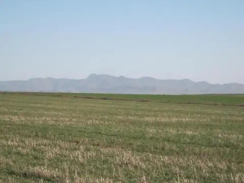 Camino Cura Malal