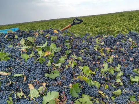 Ruta 50  Metros Acceso Este