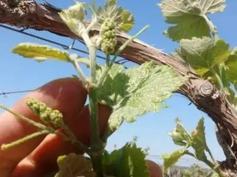 Ruta 50  Metros Acceso Este