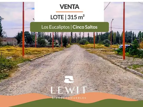 Venta terreno | Lote 315 m² | Bº Los Eucaliptos | Cinco Saltos | Río Negro
