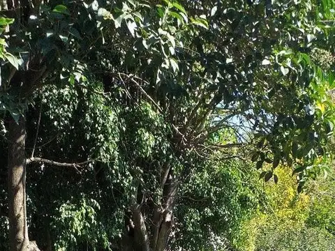 Casa en Venta en Llavallol, USD 90.000