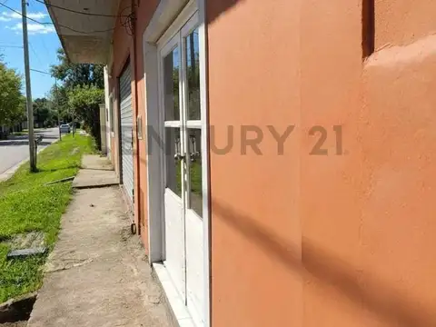 AMEGHINO 100