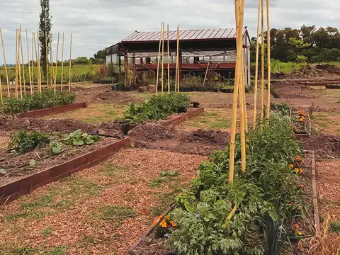 LAGUNA DE LAS PAMPAS LOTE 25
