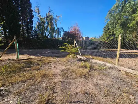 Terreno en Venta en Coronel Dorrego, USD 80.000