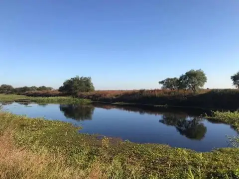 Terreno en Venta 25  mts Fondo