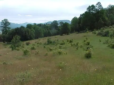 Ruta 40 1500