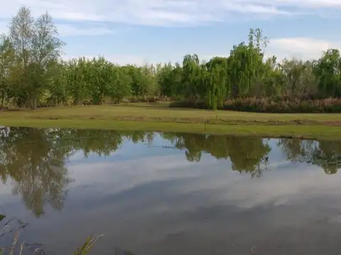 Arroyo Sandor Mikler y Serna