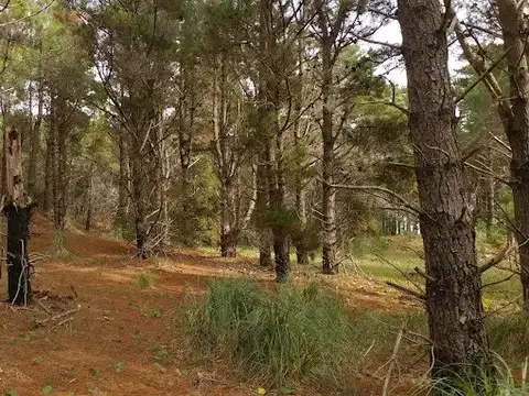 Terreno en Venta de 800,0 m2