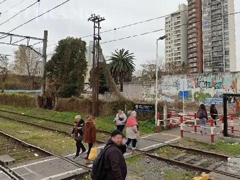 Terreno en Alquiler de 1010,0 m2