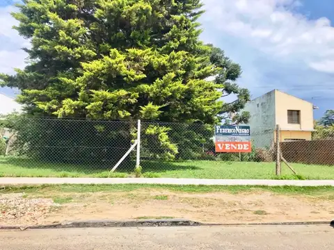 Dante Alighieri 2700