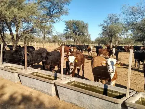 Venta Campo en Lucio V Mansilla