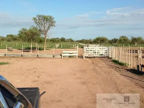 Venta Campo en Lucio V Mansilla