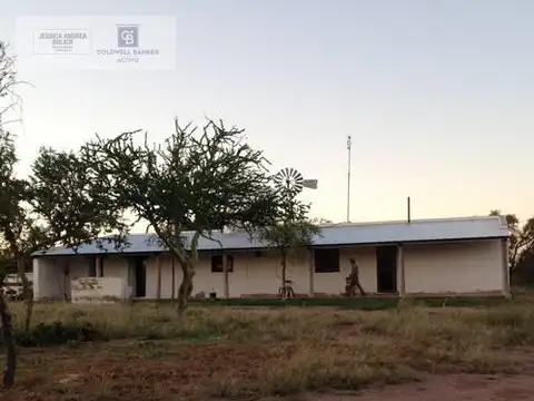 CAMPO GANADERO RUTA PROVINCIAL 22 AL 40KM DE SAN FRANCISCO DEL CHAÑAR