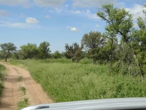 VENTA CAMPO GANADERO RUTA PROVINCIAL 22 A 40KM DE SAN FRANCISCO DEL CHAÑAR