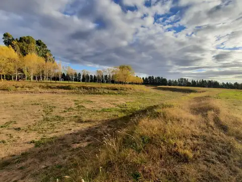 Terreno en Venta de 1056,0 m2