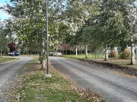 Terreno en Venta en Coronel Brandsen, USD 22.000