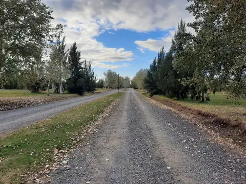 Terreno en venta - 1.056mts2 - Coronel Brandsen