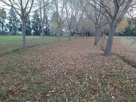 Terreno en Venta de 1056,0 m2