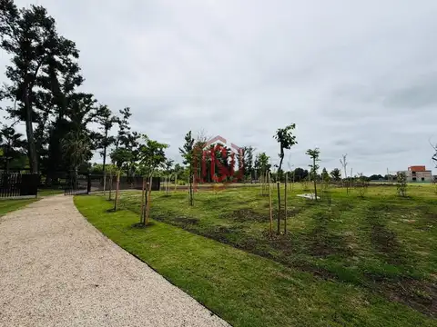Terreno en Venta de 800,0 m2