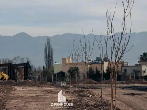 Terreno en Venta de 6000000,0 m2