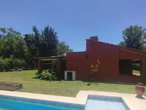La Gaviota 100