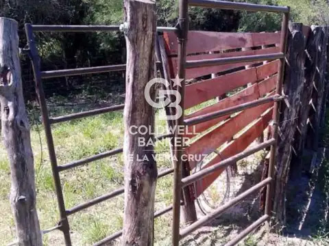 Campo ganadero en alquiler. Fortin Belgrano