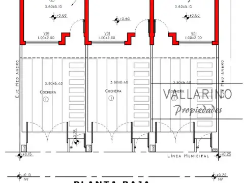 Haydee Graziani 1300