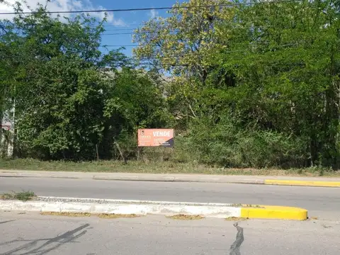 Av. Norte
