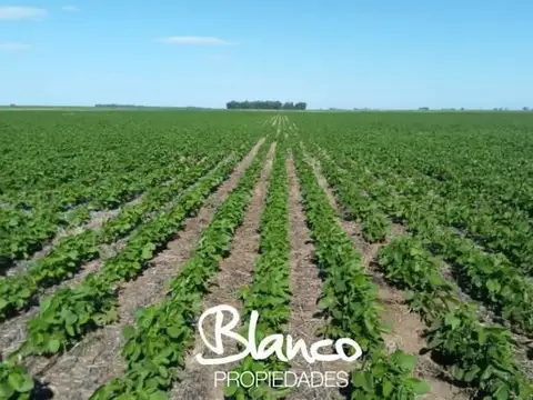 LA PAMPA - SANTA ROSA 100