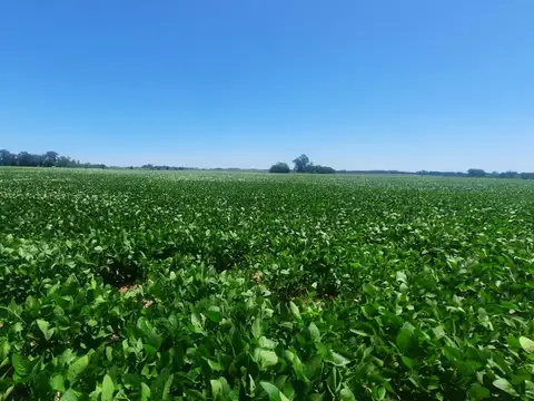 Campo en Venta, 17,5 Ha, en Open Door, Lujan, Gba Oeste