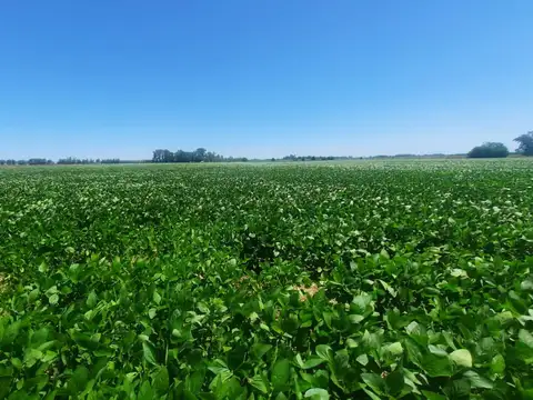 Campo en Venta, 17,5 Ha, en Open Door, Lujan, Gba Oeste