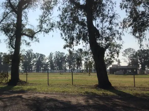 Terreno en Venta en Los Tres Pinos, USD 25.000