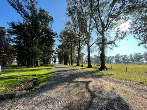 Venta Terrenos  Club de Campo Los tres Pinos-Barrio El Estribo GENERAL RODRIGUEZ