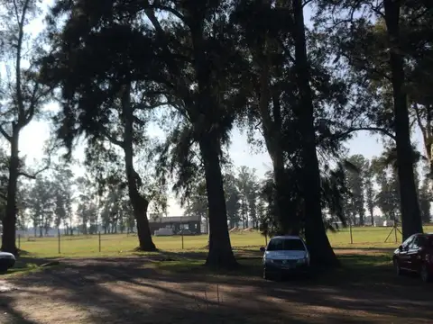 Ruta 6 km al 100