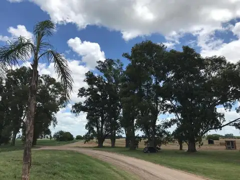 Terreno en Venta de 1000,0 m2