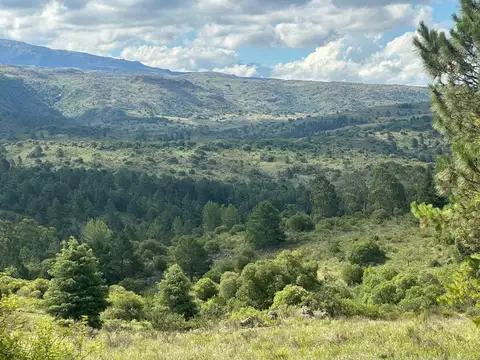 VENTA LOTE 1.5HA EN SAN CLEMENTE SOBRE RUTA C/RIO
