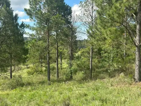 Terreno en Venta en San Clemente, USD 200.000