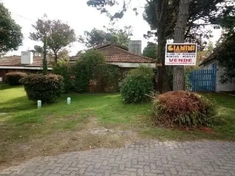 Casita 3 amb + Verde