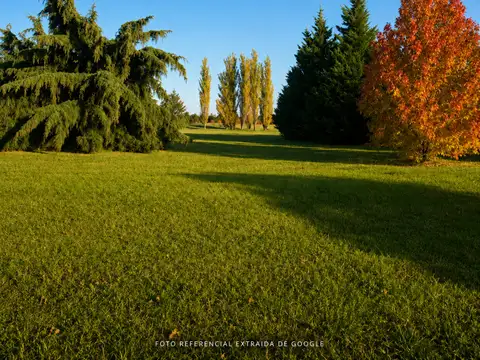 Chacras la primavera golf 100