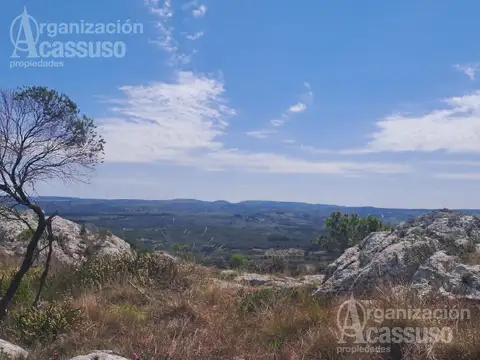 Chacras de Las Cañas Ruta 39