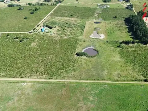 PROPIEDADES RURALES - CHACRA - PUNTA BALLENA