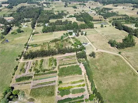 Chacra 10 has en Venta en Lapataia