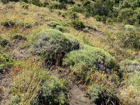 Terreno en Venta en Caleuche, USD 30.000