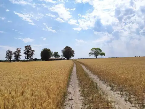 Zona Rural . Victor Manuel II
