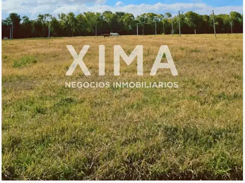 Urbanización el Buen Clima