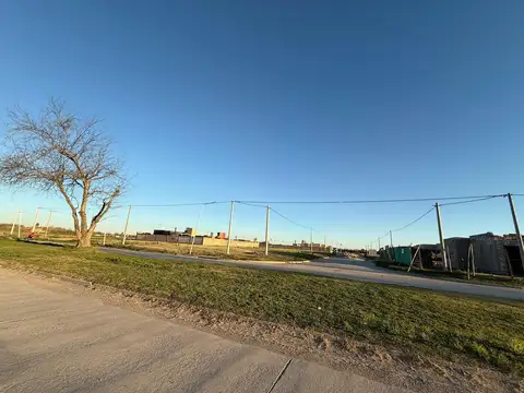 Actias esq. Beltramino