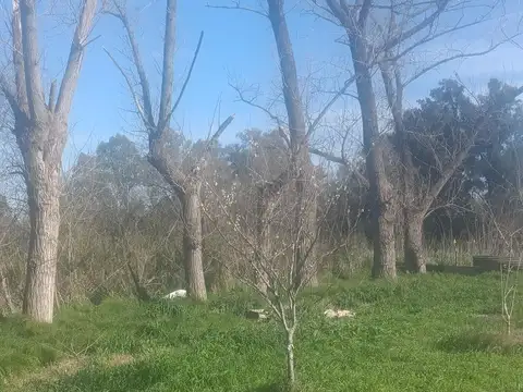 Terreno en Venta en La Reja, USD 45.000