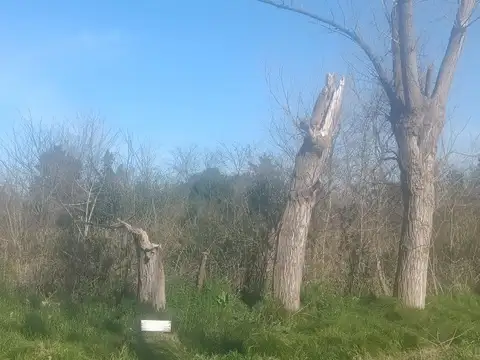 Terreno en Venta 40  mts Frente