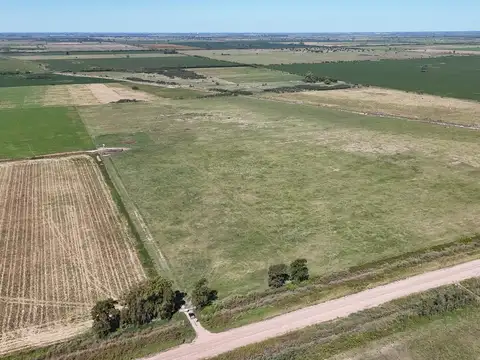 Campo de 66 hectáreas en Egusquiza