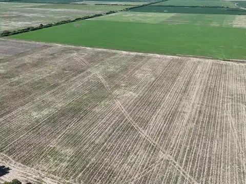 Campo de 66 hectáreas en Egusquiza